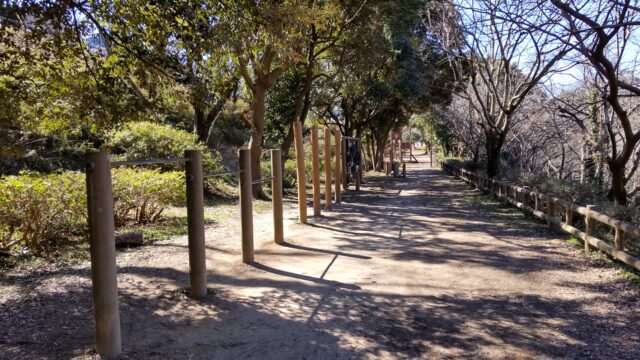 桜山中央公園のアスレチックの写真